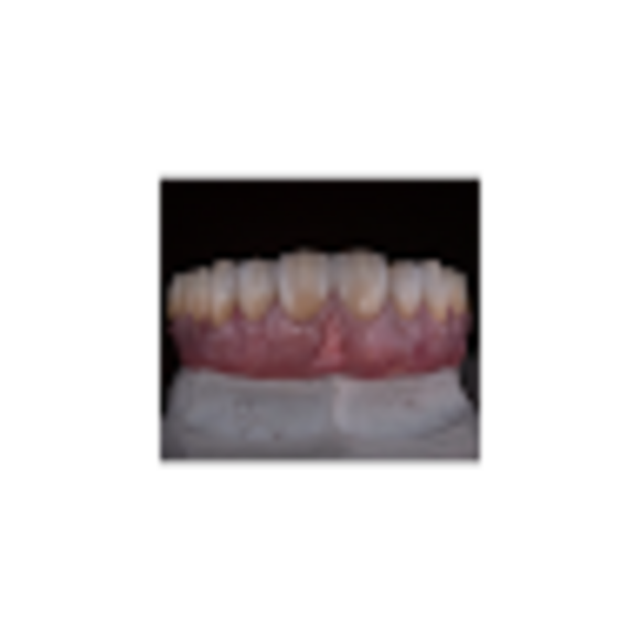 vildanabasic34